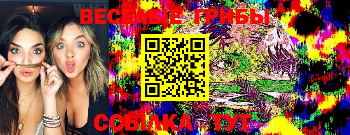 Ухта  Галлюциногенные грибы MAGIC MUSHROOMS  Вход с VPN 